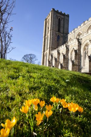 ripon 20 sm.jpg